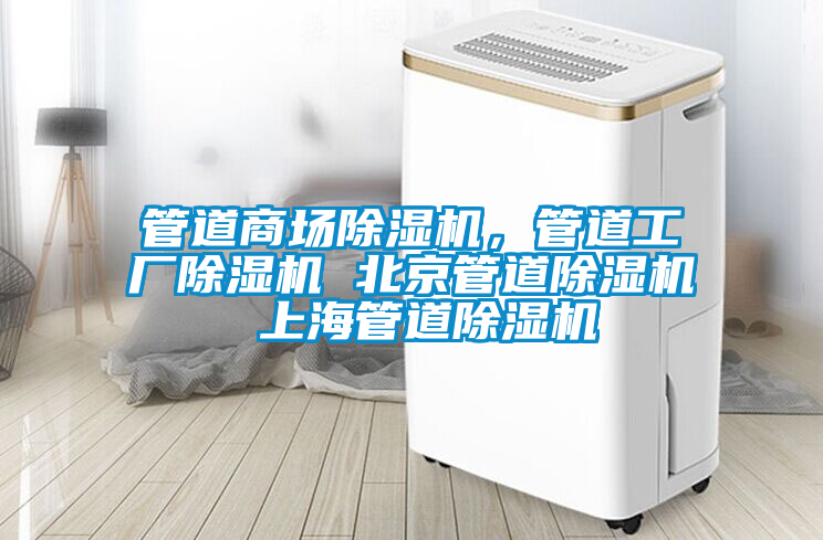 管道商場(chǎng)除濕機(jī)<div   id=