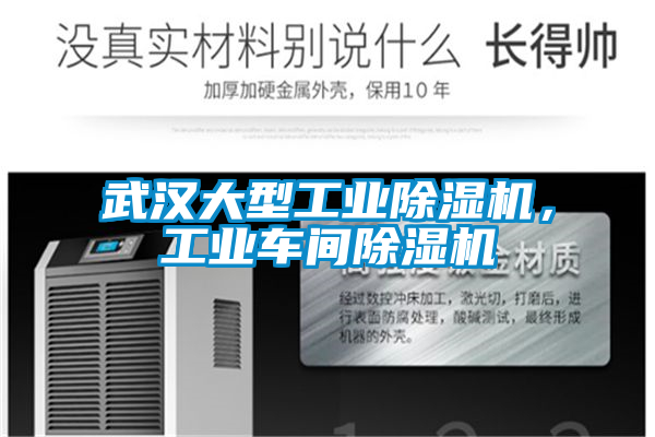 武漢大型工業(yè)除濕機(jī)<div   id=