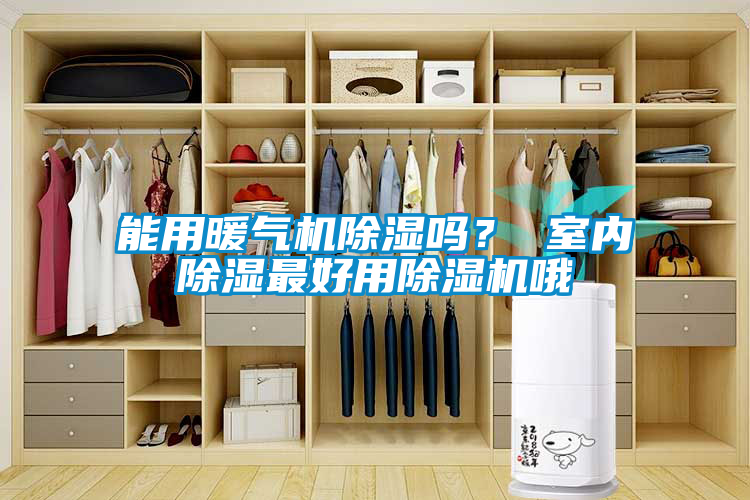 能用暖氣機除濕嗎<div   id=