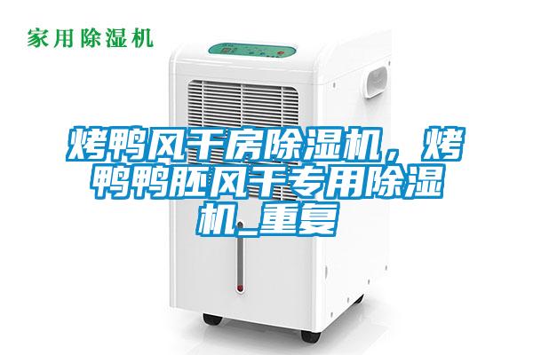 烤鴨風(fēng)干房除濕機(jī)<div   id=