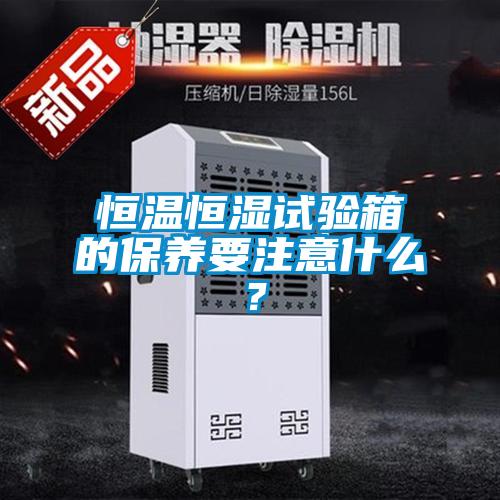 恒溫恒濕試驗(yàn)箱的保養(yǎng)要注意什么?
