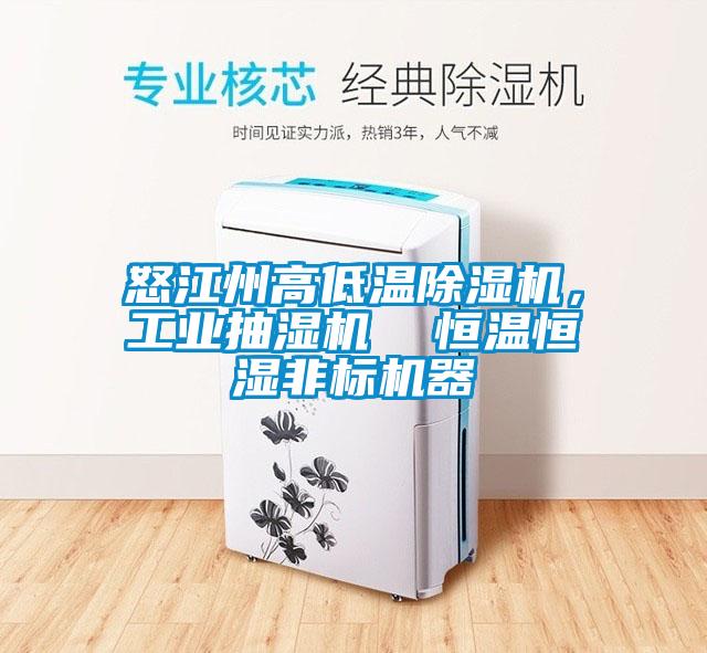 怒江州高低溫除濕機(jī)<div   id=