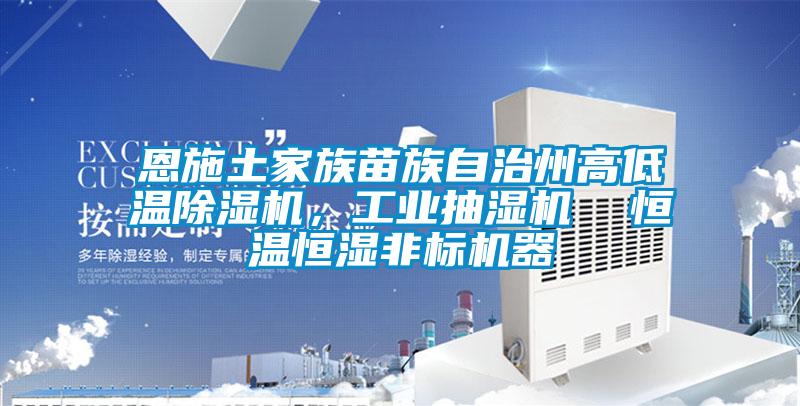 恩施土家族苗族自治州高低溫除濕機(jī),工業(yè)抽濕機(jī) 恒溫恒濕非標(biāo)機(jī)器