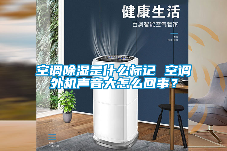 空調(diào)除濕是什么標(biāo)記 空調(diào)外機(jī)聲音大怎么回事<div   id=