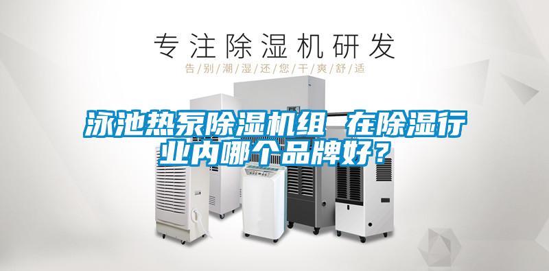 泳池熱泵除濕機組 在除濕行業(yè)內(nèi)哪個品牌好<div   id=