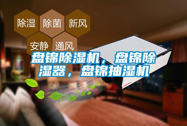 盤(pán)錦除濕機(jī)，盤(pán)錦除濕器<div   id=