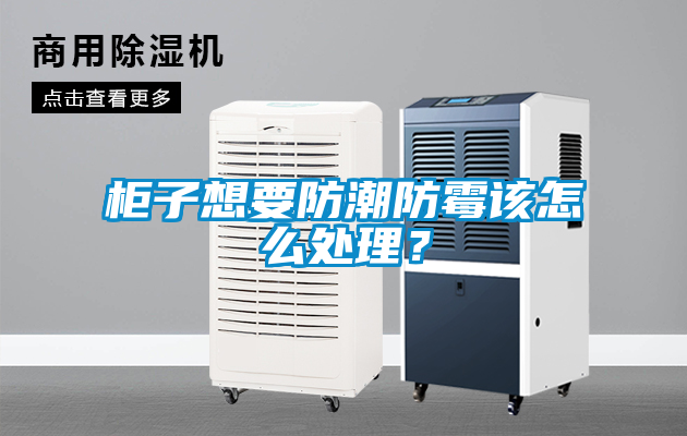 柜子想要防潮防霉該怎么處理<div   id=