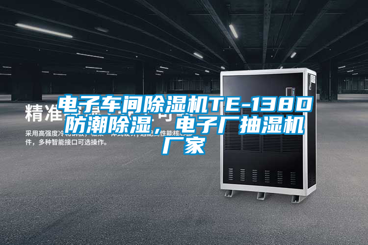 電子車間除濕機(jī)TE-138D防潮除濕<div   id=