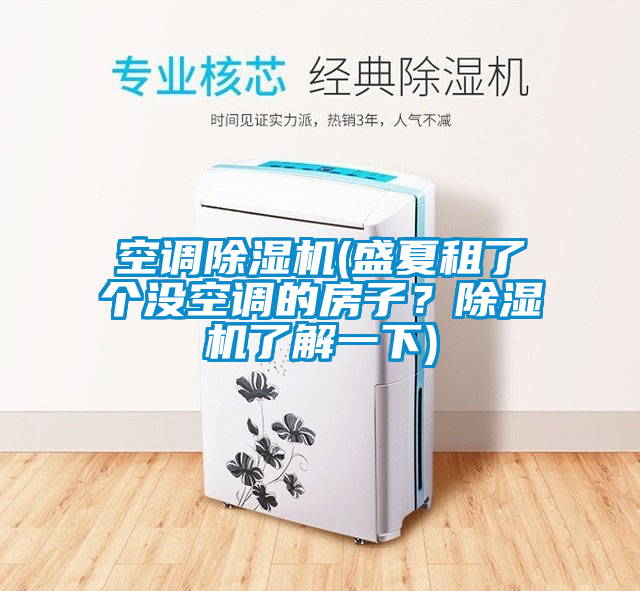 空調(diào)除濕機(jī)(盛夏租了個(gè)沒(méi)空調(diào)的房子<div   id=