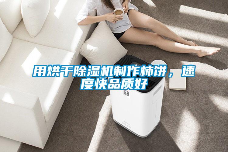 用烘干除濕機(jī)制作柿餅,速度快品質(zhì)好