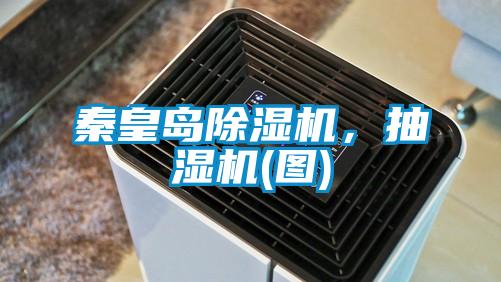 秦皇島除濕機<div   id=