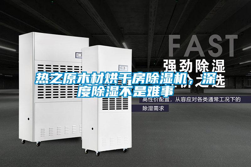 熱之原木材烘干房除濕機<div   id=