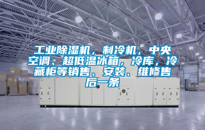 工業(yè)除濕機(jī)，制冷機(jī)<div   id=