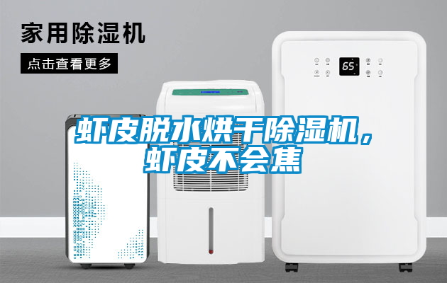 蝦皮脫水烘干除濕機,蝦皮不會焦