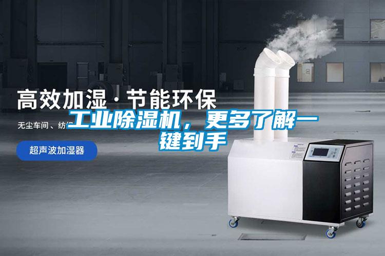 工業(yè)除濕機(jī)<div   id=