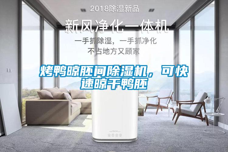 烤鴨晾胚間除濕機(jī)<div   id=