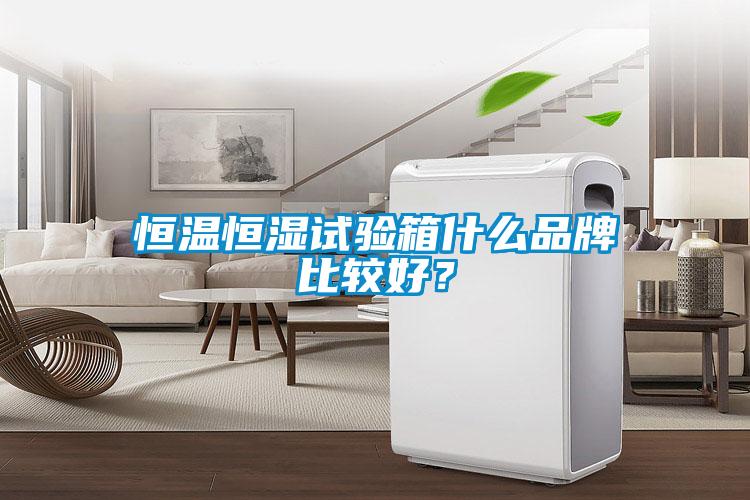 恒溫恒濕試驗箱什么品牌比較好<div   id=