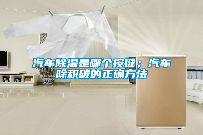汽車除濕是哪個按鍵;汽車除積碳的正確方法