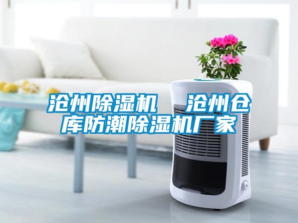 滄州除濕機(jī) 滄州倉庫防潮除濕機(jī)廠家