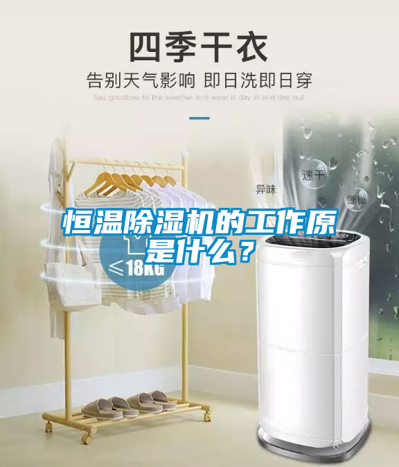 恒溫除濕機(jī)的工作原是什么<div   id=