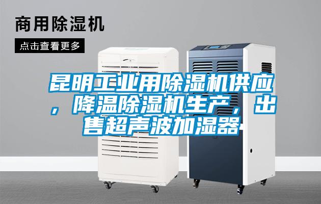 昆明工業(yè)用除濕機(jī)供應(yīng)，降溫除濕機(jī)生產(chǎn)<div   id=