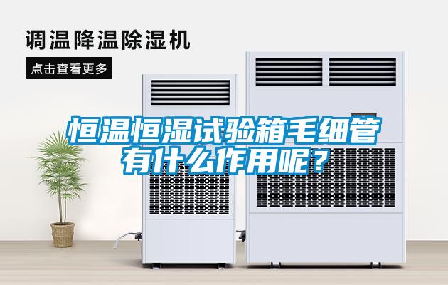 恒溫恒濕試驗(yàn)箱毛細(xì)管有什么作用呢<div   id=