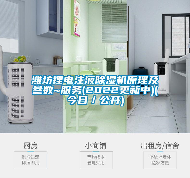 濰坊鋰電注液除濕機(jī)原理及參數(shù)~服務(wù)(2022更新中)(今日/公開)