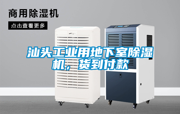 汕頭工業(yè)用地下室除濕機<div   id=