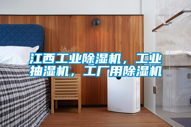 江西工業(yè)除濕機<div   id=