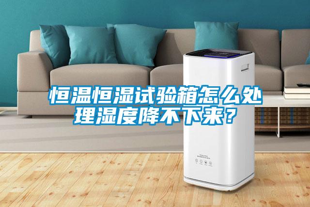 恒溫恒濕試驗(yàn)箱怎么處理濕度降不下來?
