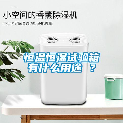 恒溫恒濕試驗(yàn)箱有什么用途 <div   id=