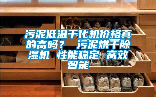 污泥低溫干化機(jī)價(jià)格真的高嗎<div   id=