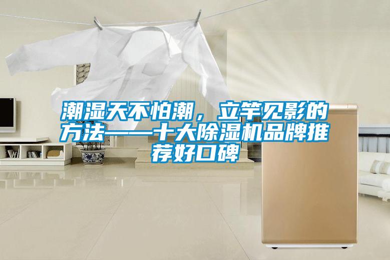潮濕天不怕潮<div   id=