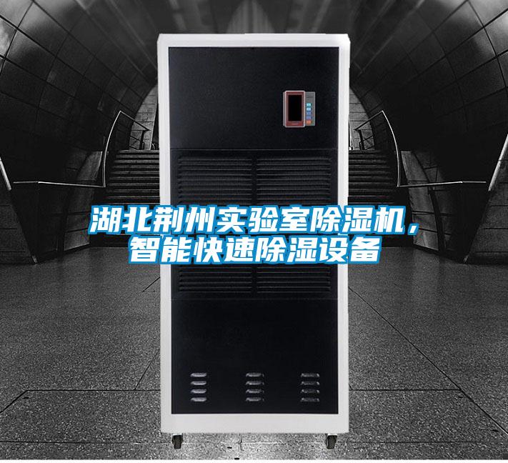 湖北荊州實(shí)驗(yàn)室除濕機(jī)<div   id=