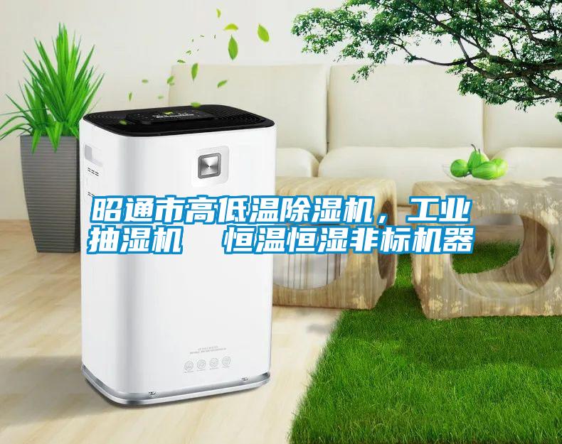 昭通市高低溫除濕機(jī)<div   id=