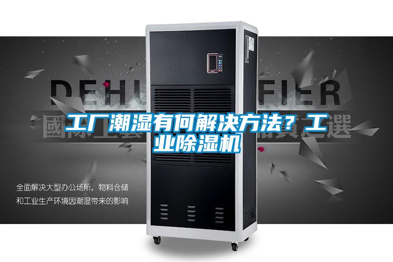 工廠潮濕有何解決方法<div   id=