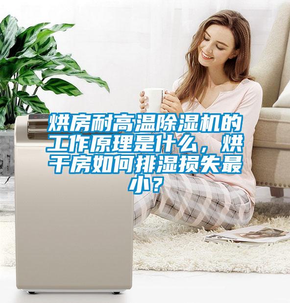烘房耐高溫除濕機的工作原理是什么，烘干房如何排濕損失最?div   id=