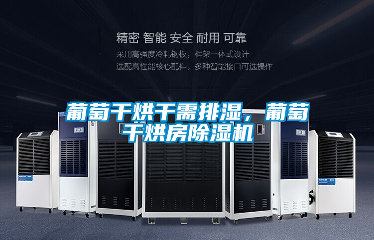 葡萄干烘干需排濕<div   id=