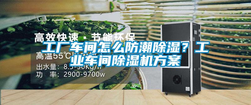 工廠車間怎么防潮除濕<div   id=