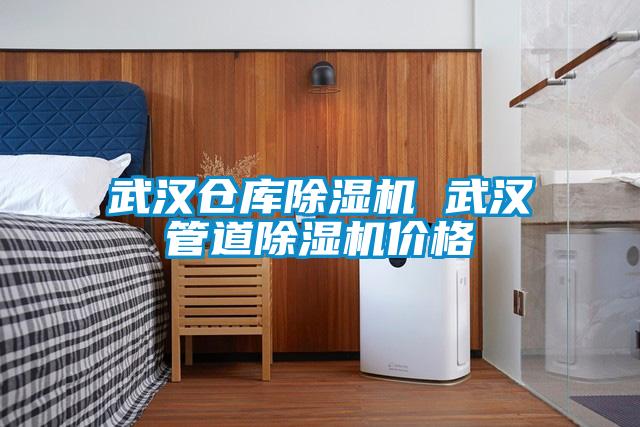 武漢倉庫除濕機(jī) 武漢管道除濕機(jī)價格