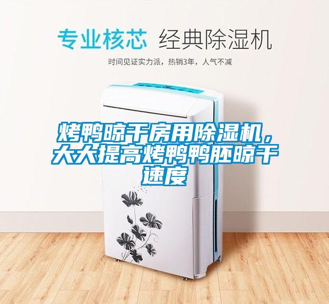 烤鴨晾干房用除濕機(jī)<div   id=