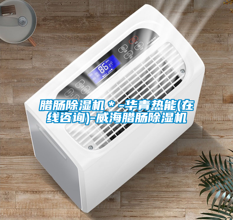 臘腸除濕機*-華青熱能(在線咨詢)-威海臘腸除濕機