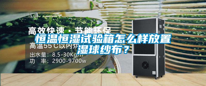 恒溫恒濕試驗箱怎么樣放置濕球紗布<div   id=