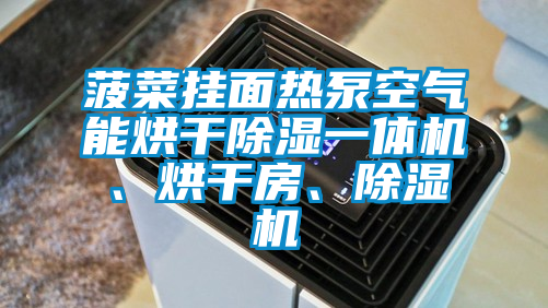 菠菜掛面熱泵空氣能烘干除濕一體機<div   id=