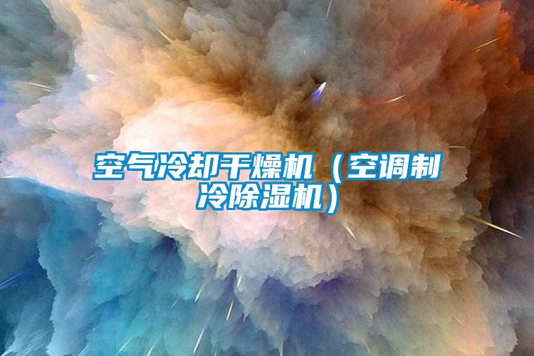 空氣冷卻干燥機(空調(diào)制冷除濕機)