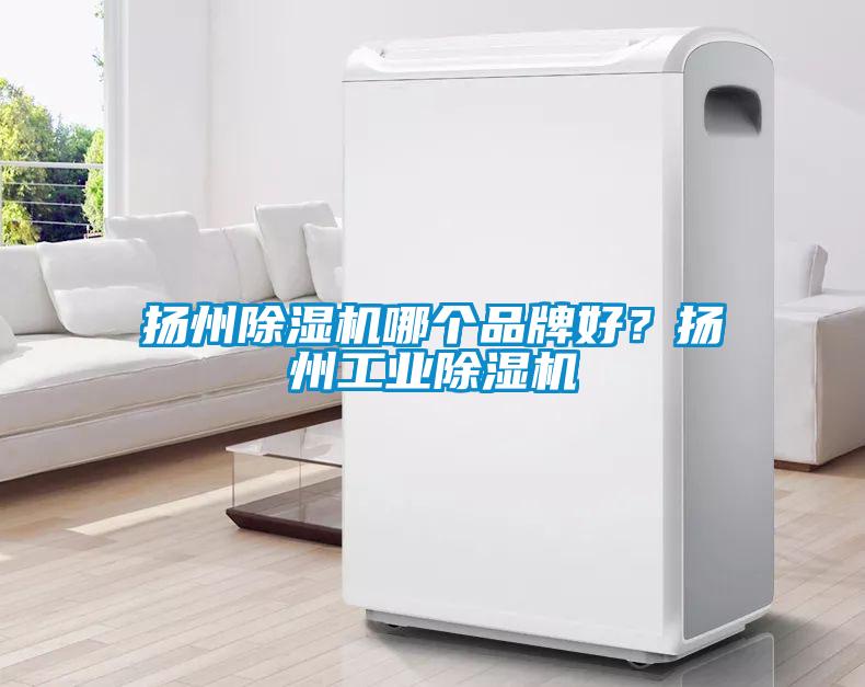 揚(yáng)州除濕機(jī)哪個(gè)品牌好<div   id=
