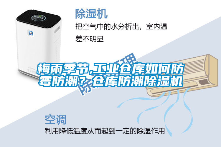 梅雨季節(jié),工業(yè)倉(cāng)庫(kù)如何防霉防潮<div   id=