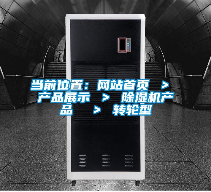當(dāng)前位置:網(wǎng)站首頁(yè) > 產(chǎn)品展示 > 除濕機(jī)產(chǎn)品 > 轉(zhuǎn)輪型