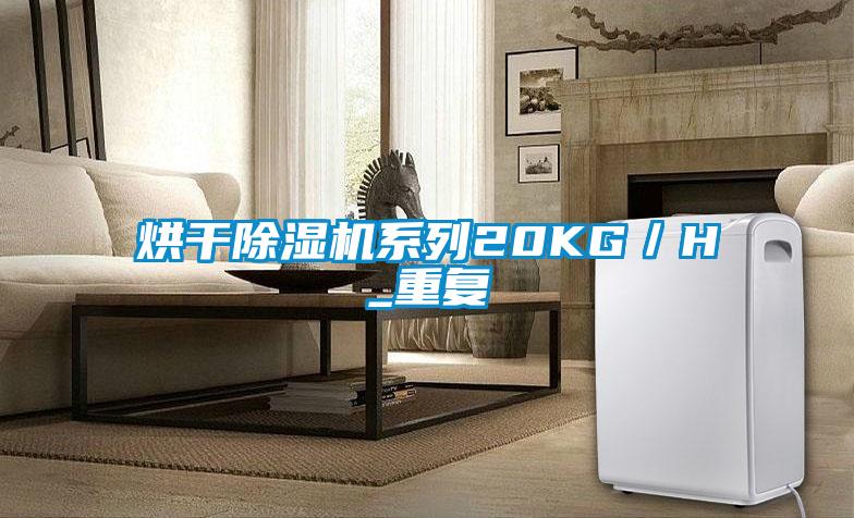 烘干除濕機(jī)系列20KG/H_重復(fù)