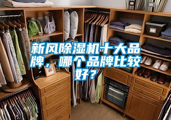 新風(fēng)除濕機(jī)十大品牌<div   id=